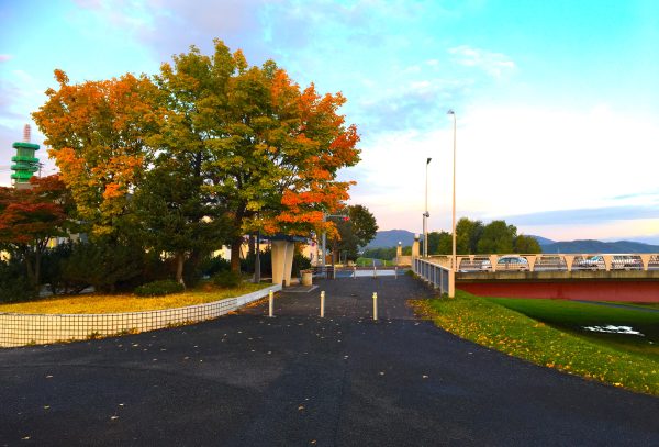 旭川医科大学 | Asahikawa Medical University